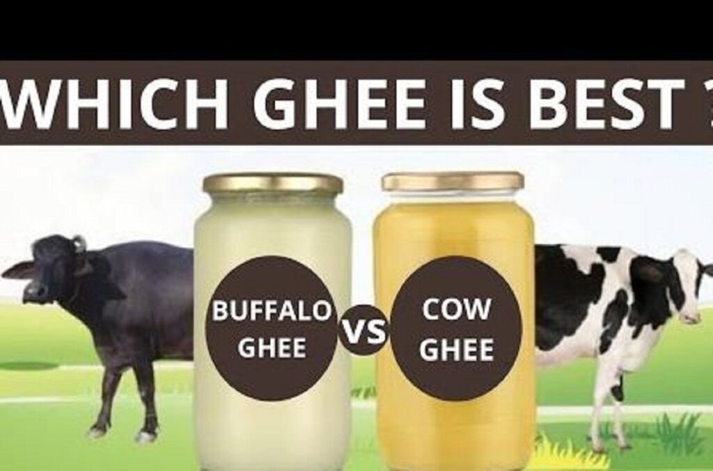 Buffalo Ghee VS Cow Ghee