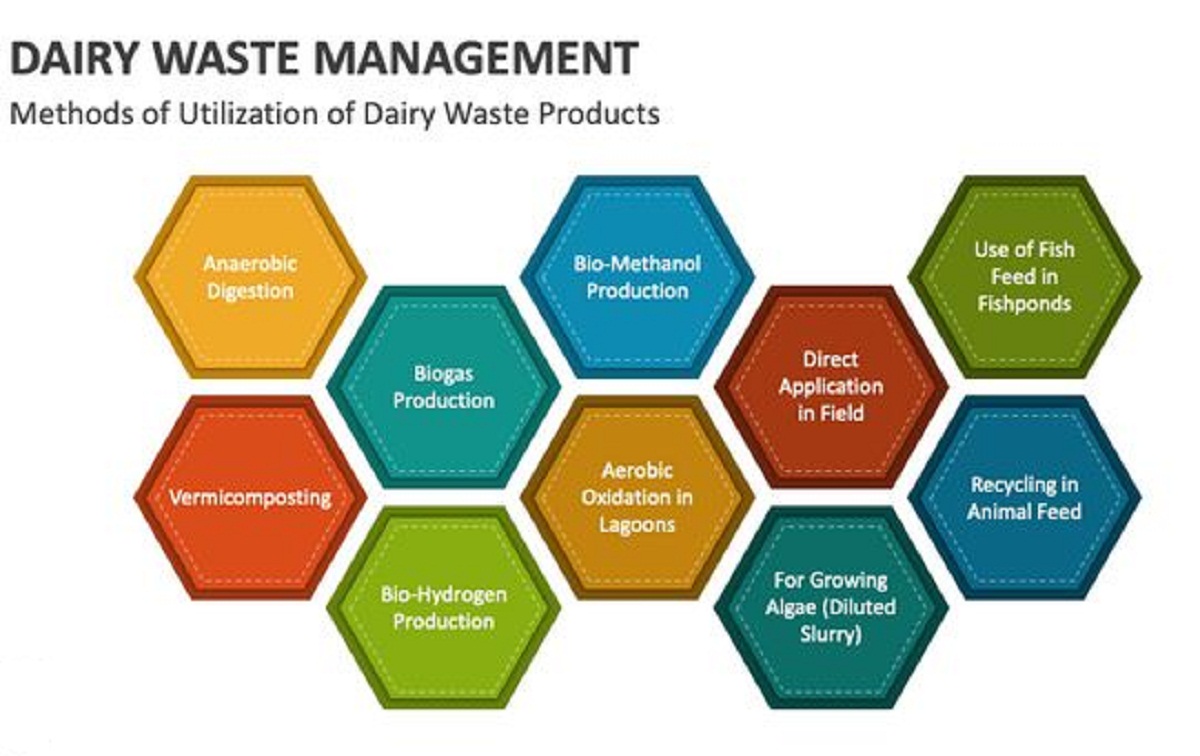 5 Sustainable Solutions for Dairy Biodegradable Waste Management ...